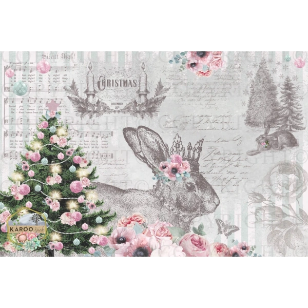/christmas/KSFP-C009