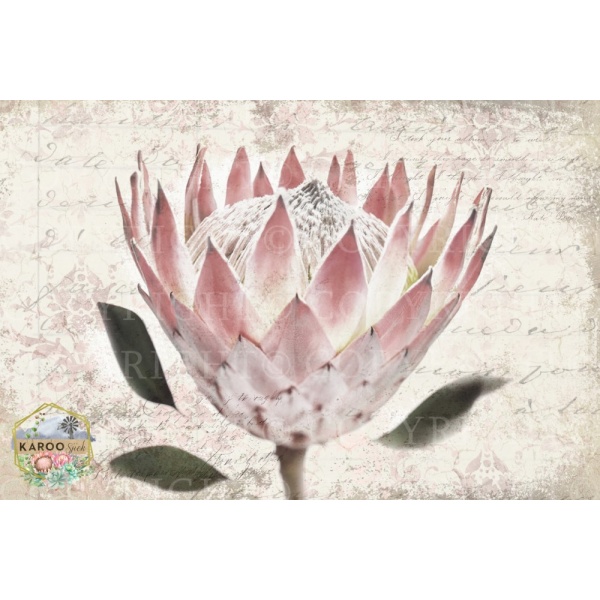 /ksdp/furniture/KS-FP057