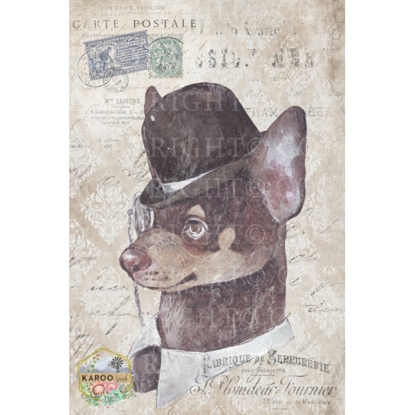 /ksdp/furniture/KS-FP092