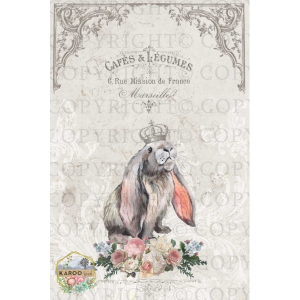 /ksdp/furniture/KS-FP131