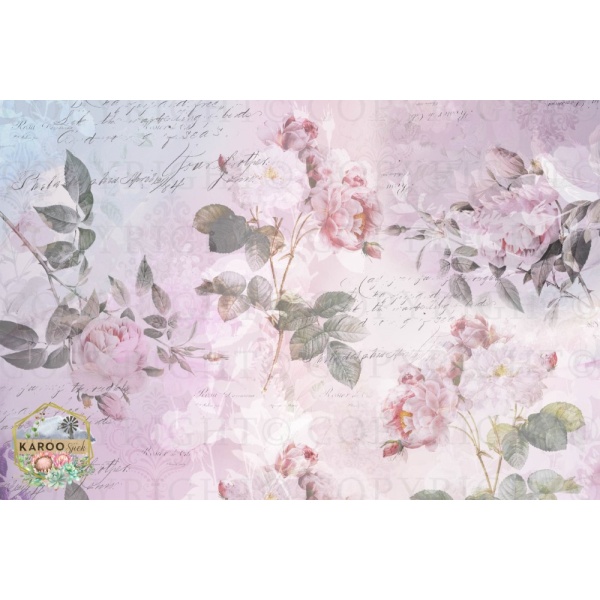 /ksdp/furniture/KS-FP207