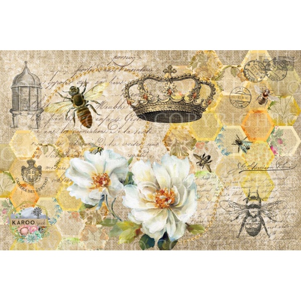 /ksdp/furniture/KS-FP248