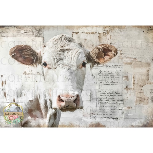 /ksdp/furniture/KS-FP330