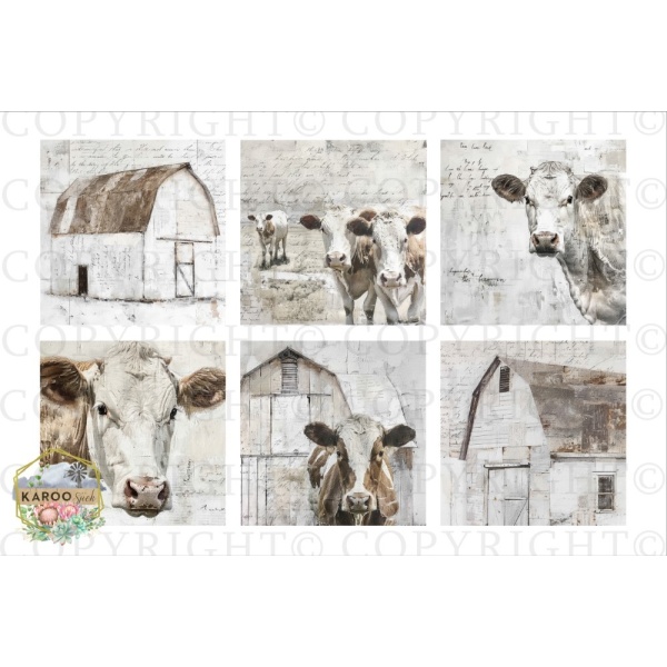 /ksdp/furniture/KS-FP331